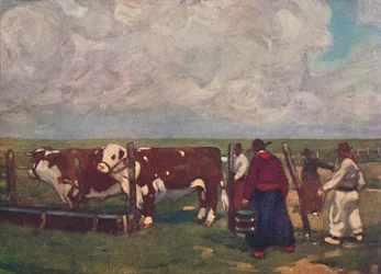 Bœufs de pedigree sur une estancia Lemco