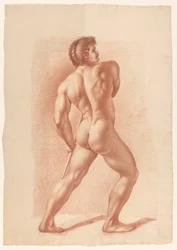 Nu masculin debout, vu de dos