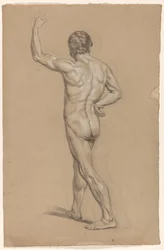 Nu masculin debout, vu de dos