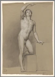 Homme nu debout, vu de face