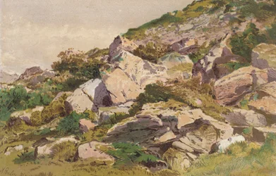 Étude de pierres sur le côté nord de Taliaris, près de Llandilo, Sud du Pays de Galles