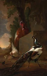 Un paon, un dindon et une poule avec ses poussins près d