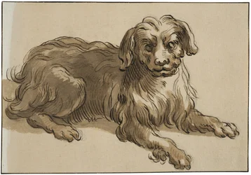 Chien à poil long