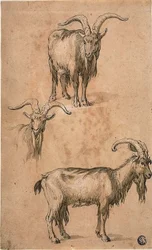 Trois esquisses d