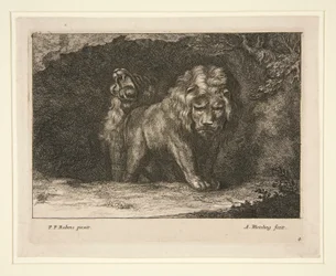 Lions