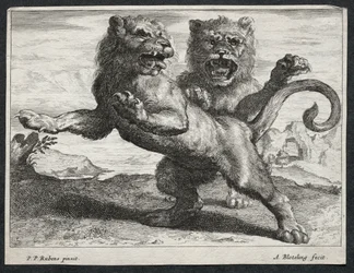 Divers Lions