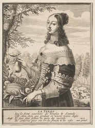 Terre
