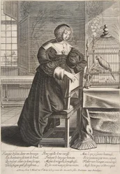 Le perroquet