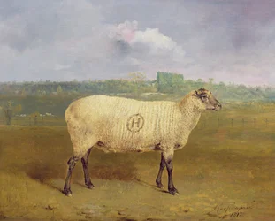 Une brebis primée au monogramme « H », appartenant à M. J. A. Houblon, Hallingbury Place, Essex, 1812