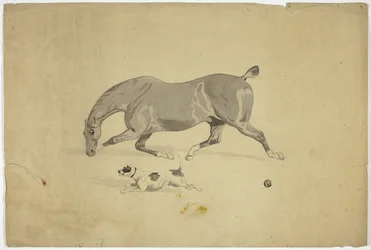 Cheval et chien en course