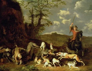 Une chasse à l