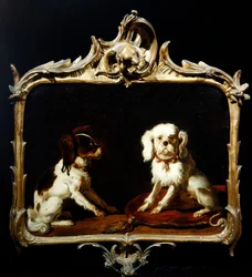Deux chiens de compagnie