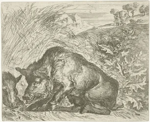 Sanglier