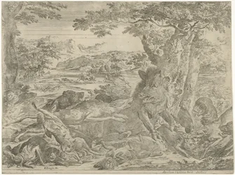 Sanglier attaqué par des chiens