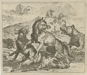 Loup attaqué par des chiens (Verschillende dieren)