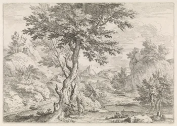 Paysage vallonné avec des rochers