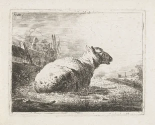 Mouton couché