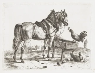 Cheval près d