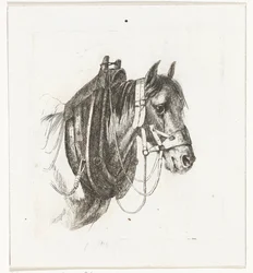 Tête de cheval avec bride, collier et selle