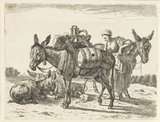 Ânes de bât