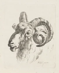 Tête de bélier vers la gauche
