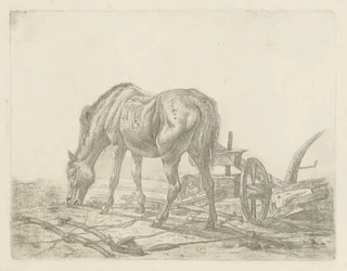 Cheval dételé près d