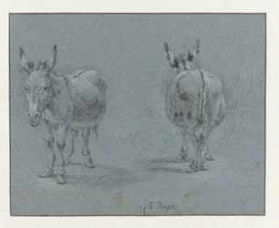 Deux études d