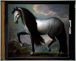 Cheval dans un paysage