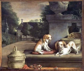 Deux chiens dans un parc