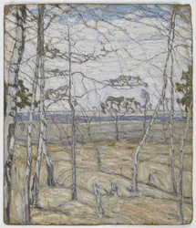 Arbres de bouleau
