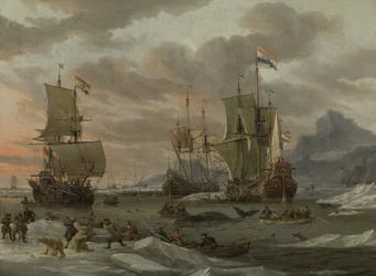 Terrains de chasse à la baleine dans l