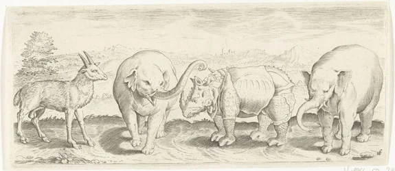 Gazelle, éléphant et rhinocéros