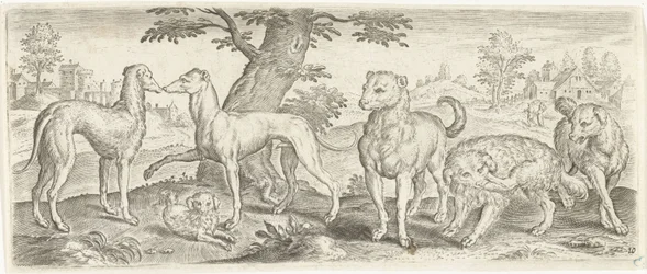 Chiens