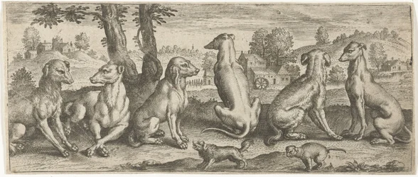 Chiens