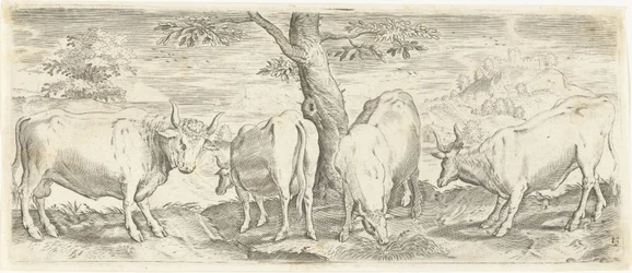 Vaches, un taureau et un bœuf (Dieren)
