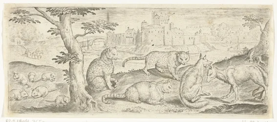 Ratten, katten en vossen, Animaux (titre de la série)