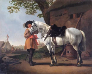 Un cavalier avec un cheval gris