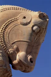 Tête de taureau sur le portique nord de la salle du trône de Xerxès