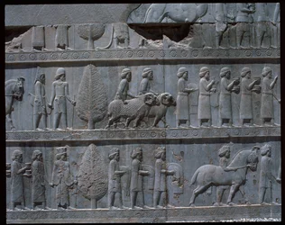 Vue des reliefs des escaliers est