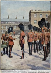 Distribution de trèfle pour la Saint-Patrick (patron de l