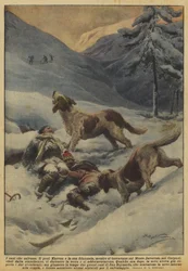 Les chiens qui sauvent