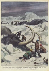 Les témoins de la Préhistoire