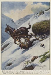 Le mulet neurasthénique