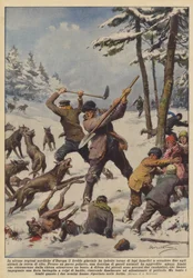 Dans certaines régions nordiques d