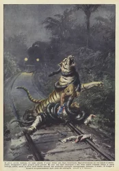 En pleine forêt indienne, un homme attend le train près de la voie ferrée