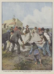 La chasse aux sauterelles en Sardaigne, quatre-vingts millions d