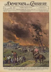 La forêt en feu