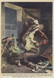 Une demi-heure de lutte contre un loup, poussé par le froid et la faim vers l