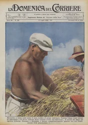 Mussolini, torse nu sous le soleil, bat le blé de l