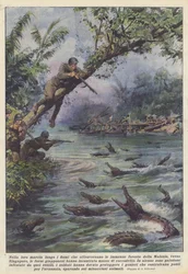 Dans leur marche le long des rivières qui traversent les immenses forêts de Malaisie